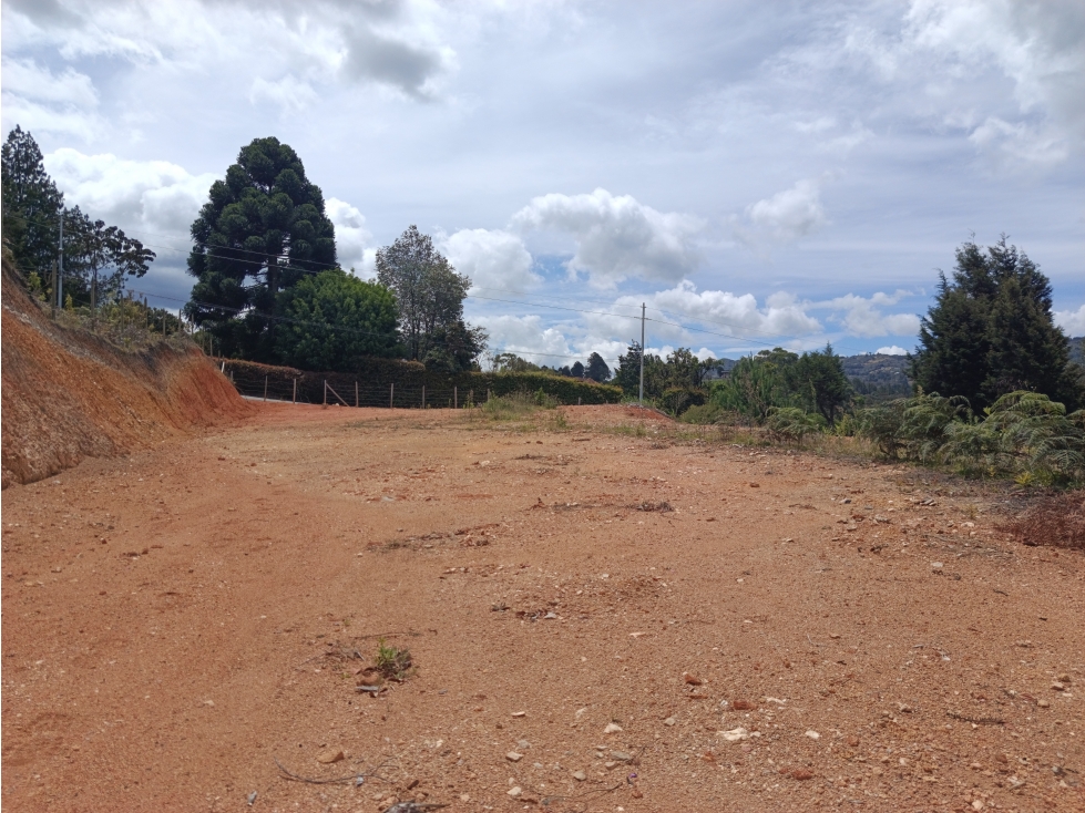 Vendo lote en vereda san Isidro en guarne-Antioquia — foto 5