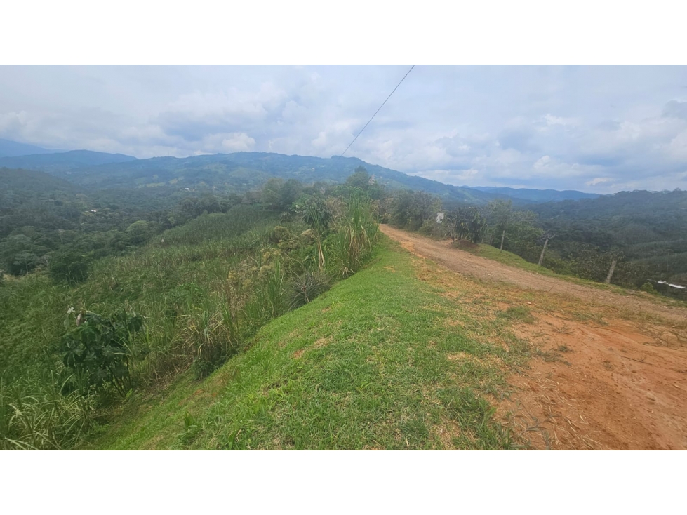 VENDO FINCA EN SAN RAFAEL PARA PARCELAR O PARA AGRICULTURA - 5