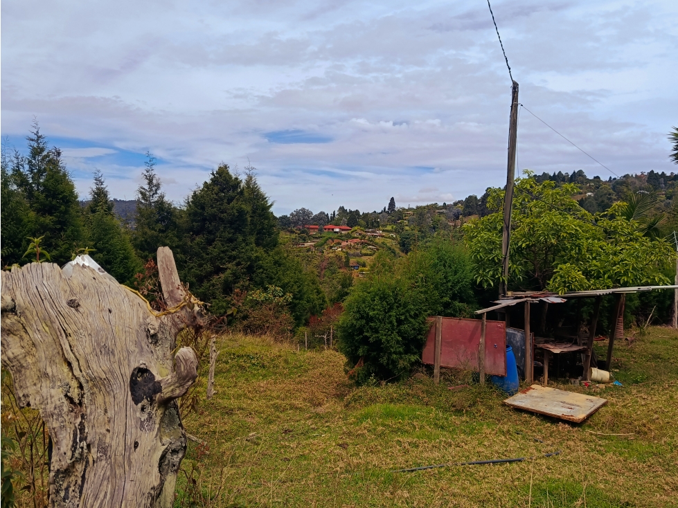 Vendo lote en Guarne Antioquia- Vereda san Isidro — foto 6