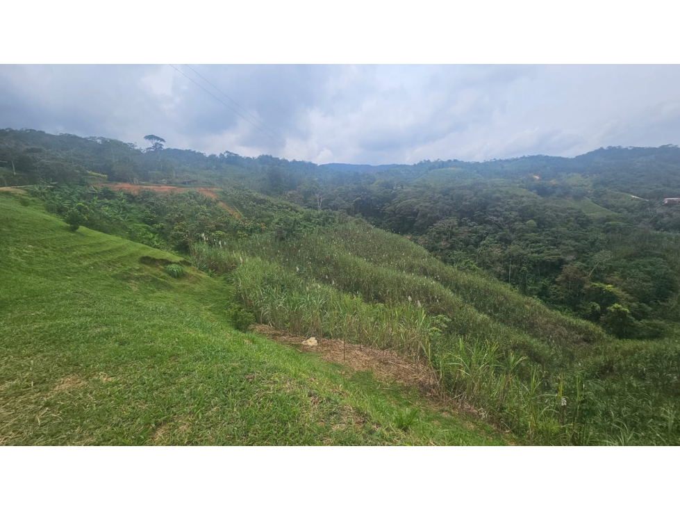 VENDO FINCA EN SAN RAFAEL PARA PARCELAR O PARA AGRICULTURA - 6