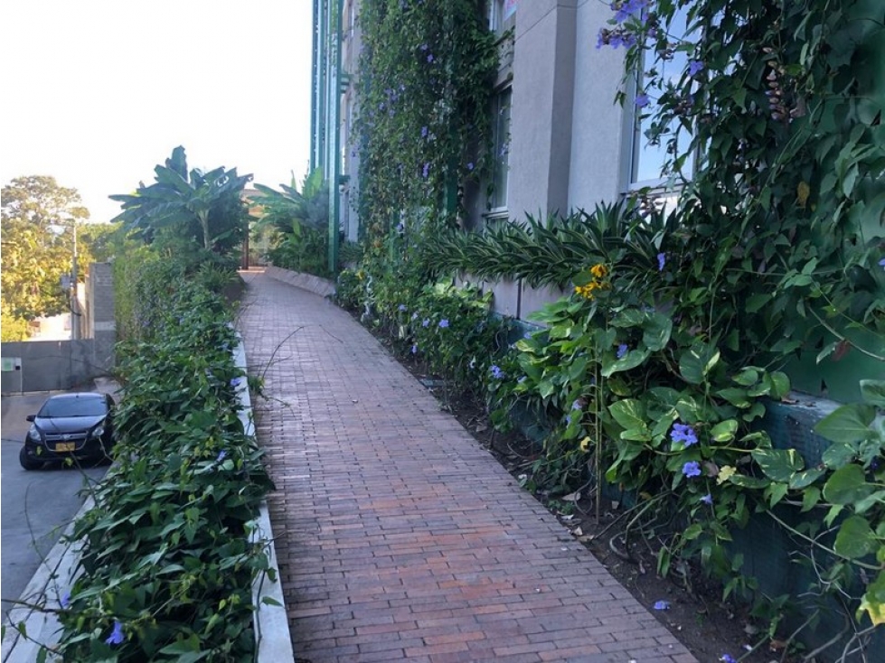 ¡Disponible ahora! Apartamento en Bosque Sereno — foto 2