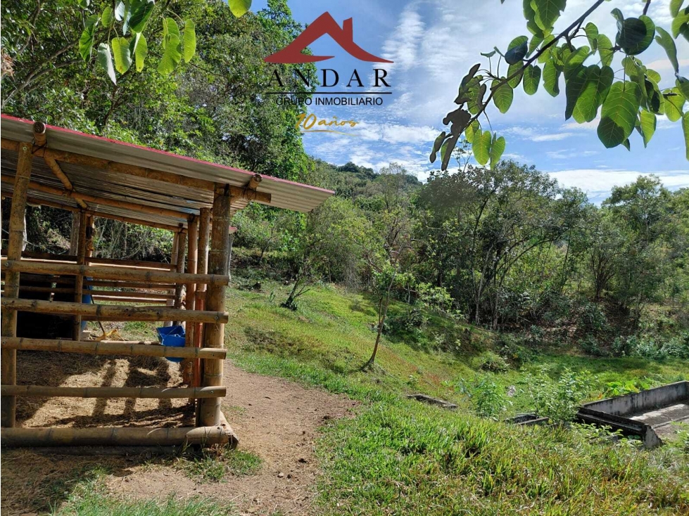 ¡Inversión imperdible! Finca en La Gaviota - 3