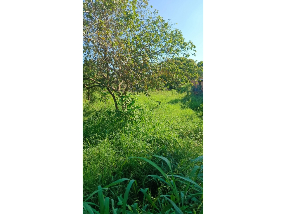 Venta de terreno en el Barrio San Roque Oeste - 1