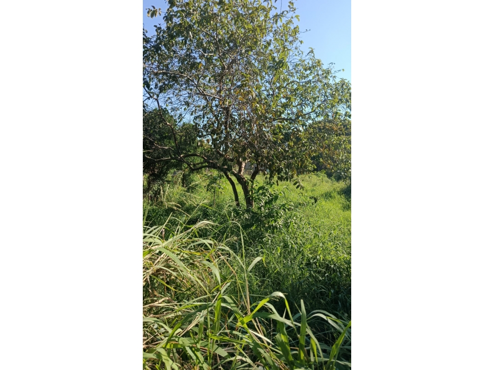 Venta de terreno en el Barrio San Roque Oeste - 2