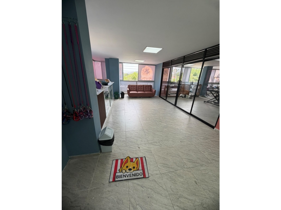Venta de Local Floridablanca - 2