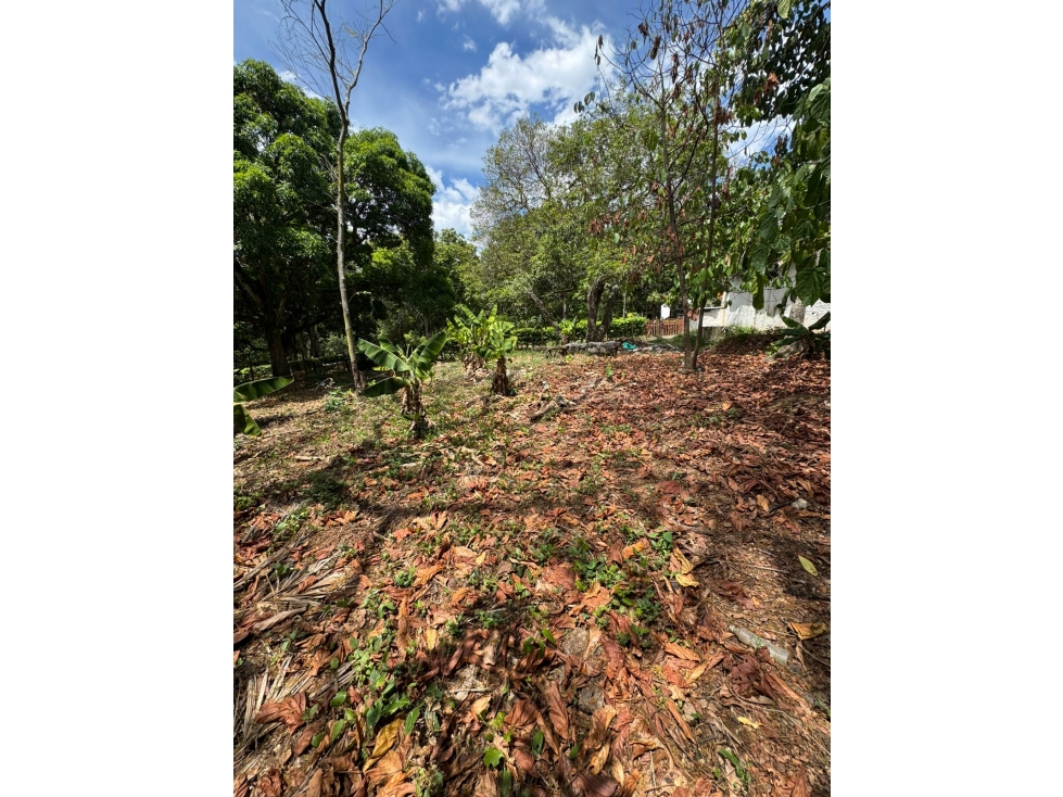 venta de lote sopetran Antioquía — foto 2