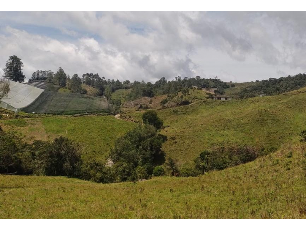 EN VENTA FINCA DE USO GANADERO O AGRÍCOLA EN ABEJORRAL - 1