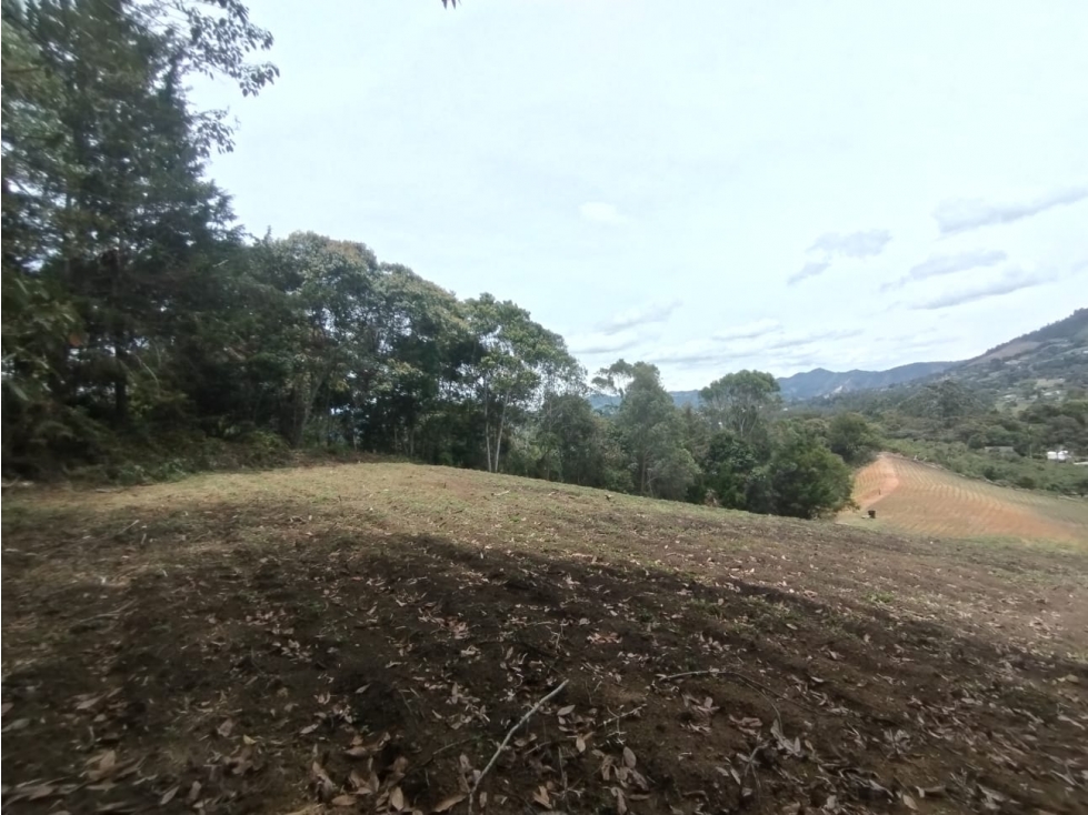 La Ceja Lote Campestre 20.000 m² Ideal Parcelación o Inversión — foto 3