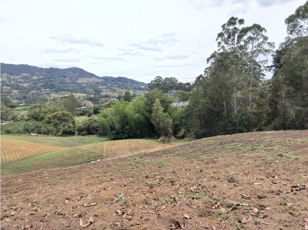 La Ceja Lote Campestre 20.000 m² Ideal Parcelación o Inversión — foto 4