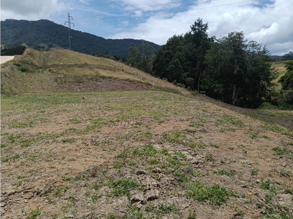 Venta Lote en La Ceja, parcelación cerrada (C)