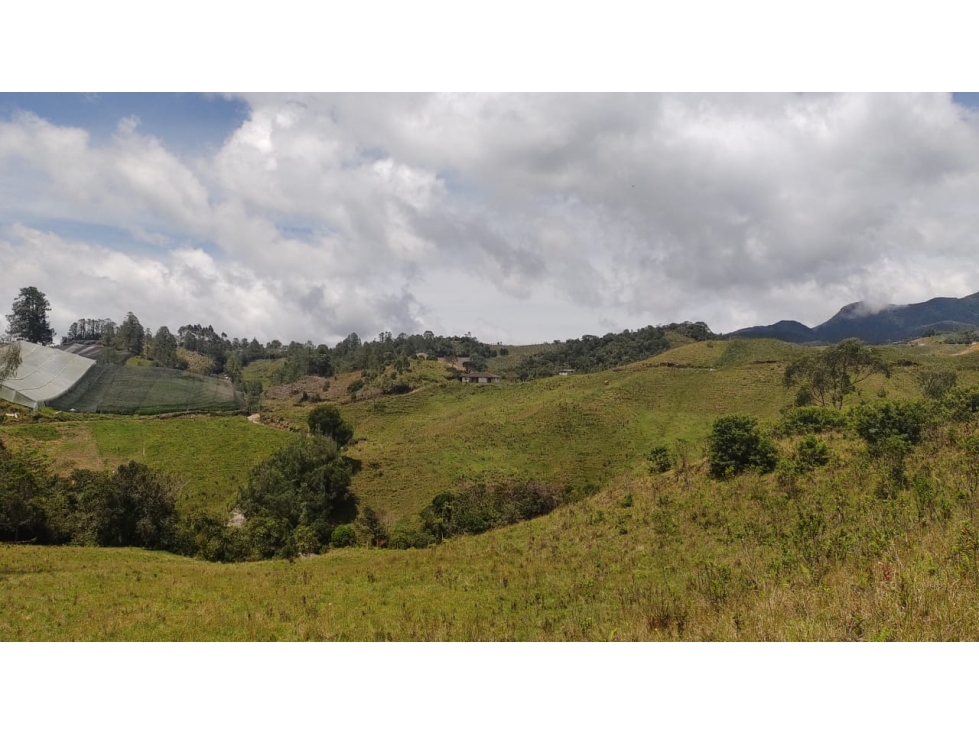 EN VENTA FINCA DE USO GANADERO O AGRÍCOLA EN ABEJORRAL - 2