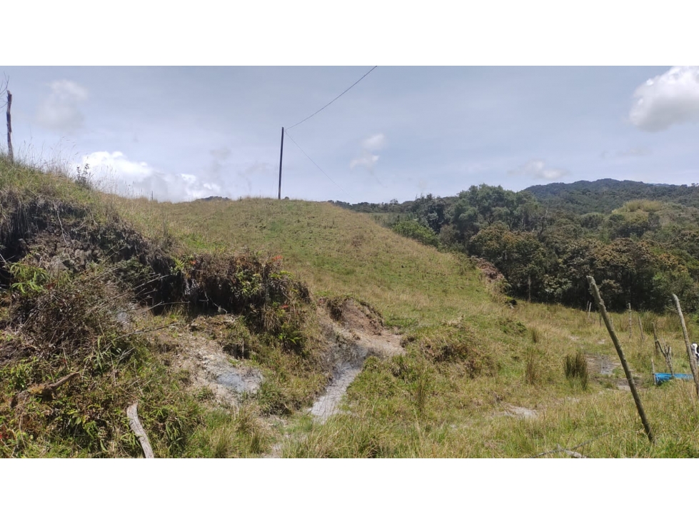 EN VENTA FINCA DE USO GANADERO O AGRÍCOLA EN ABEJORRAL - 4