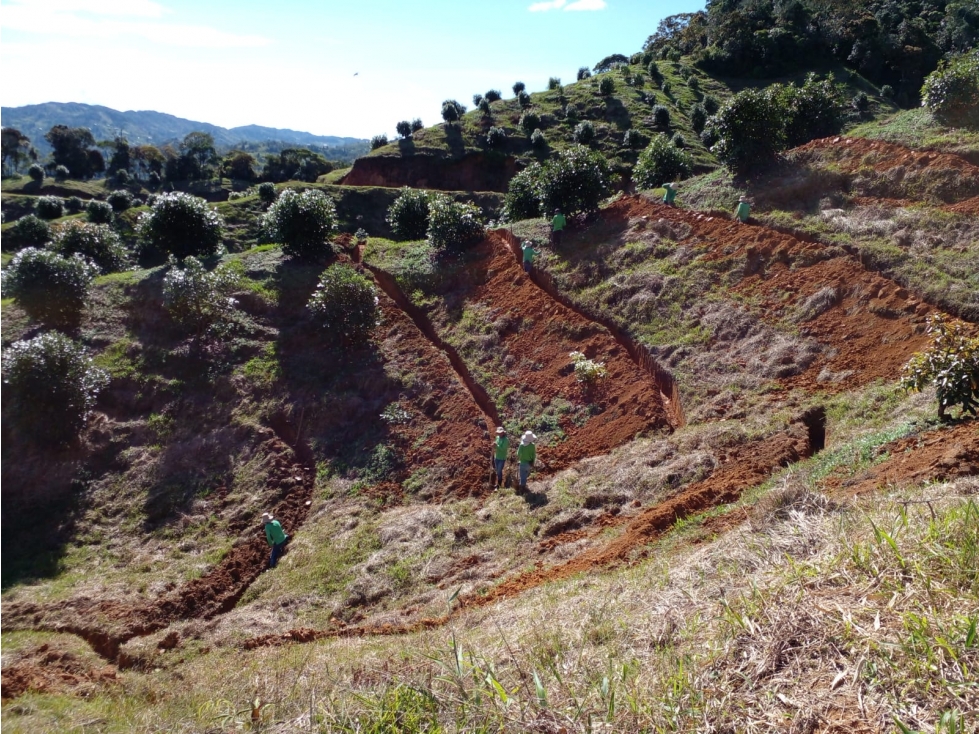 FINCA AGRÍCOLA EN VENTA EN GRANADA, ANTIOQUIA - 4