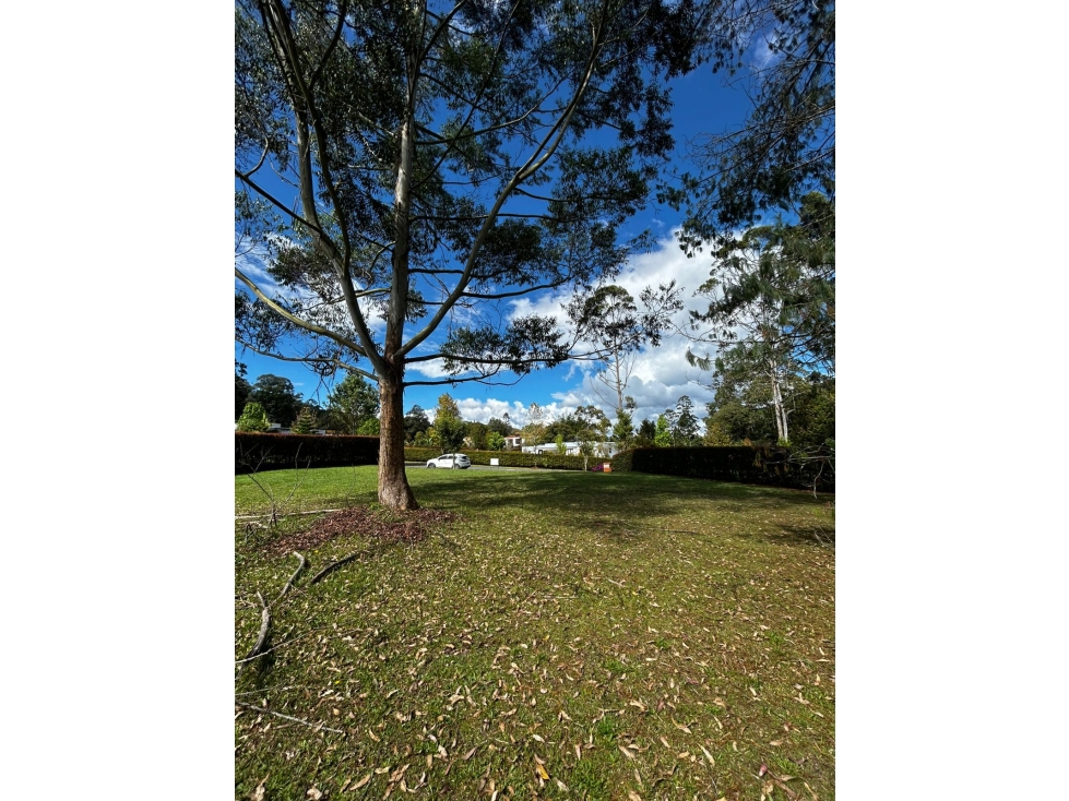 SE VENDE LOTE DE 2561.6 M2 EN PARCELACIÓN EN LA CEJA - 1