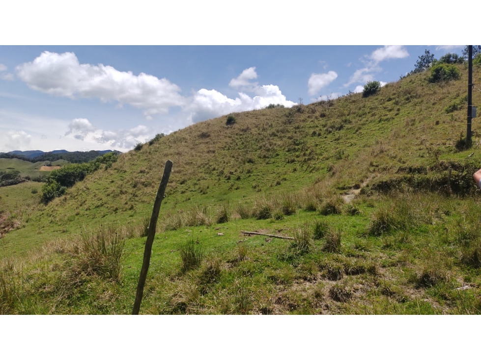 EN VENTA FINCA DE USO GANADERO O AGRÍCOLA EN ABEJORRAL - 5