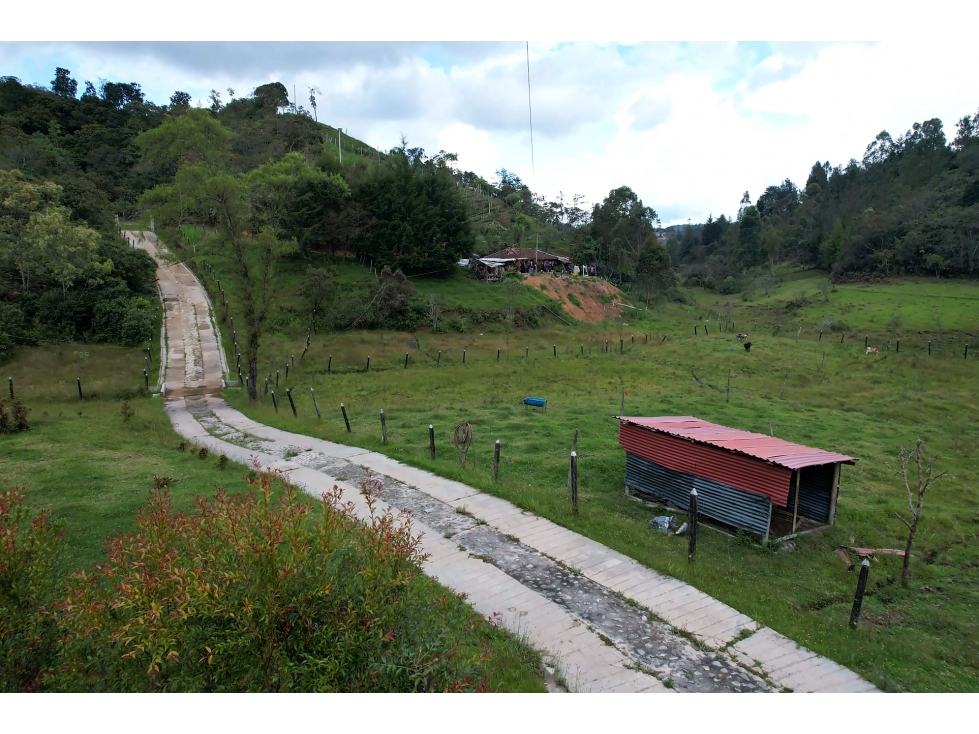 Venta finca San Vicente Vereda Ovejas - 6