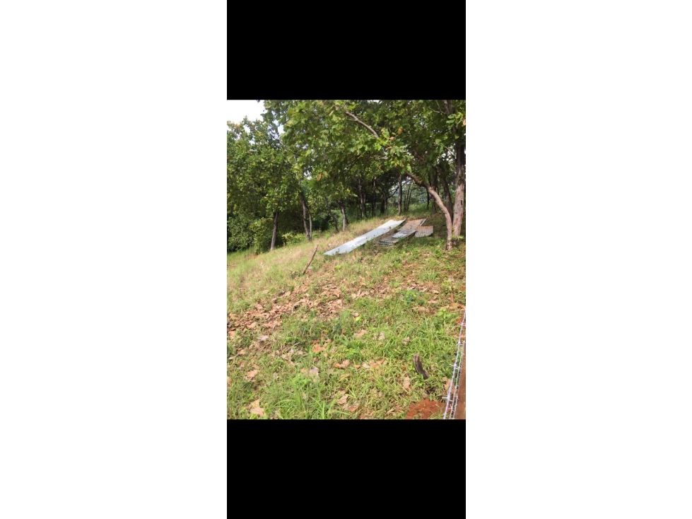Propiedad en Torio, Veraguas | Oportunidad de Inversión - 3