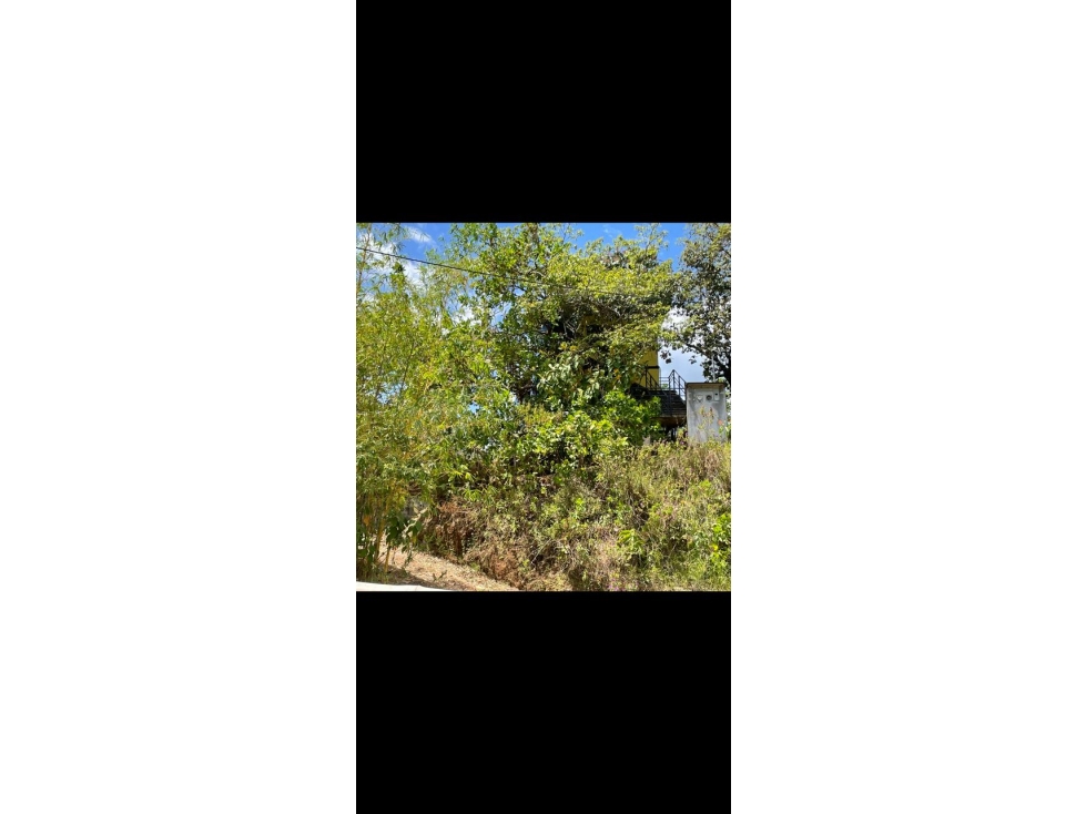 Propiedad en Torio, Veraguas | Oportunidad de Inversión - 4