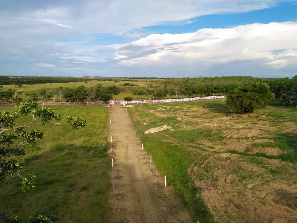 FINCA GANADERA Y FORESTAL DE 2.500 HA META - 1