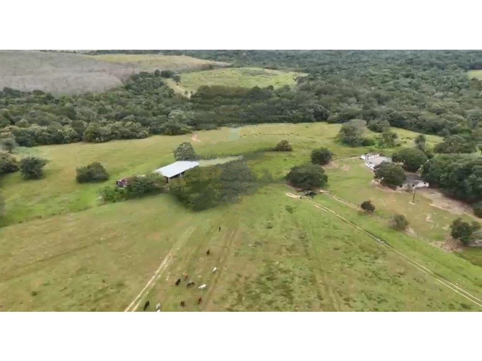 FINCA AGROPECUARIA DE 2.200 HA PUERTO LÓPEZ, META - 1