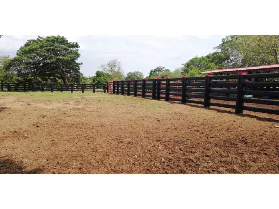FINCA GANADERA Y FORESTAL DE 2.500 HA META - 2