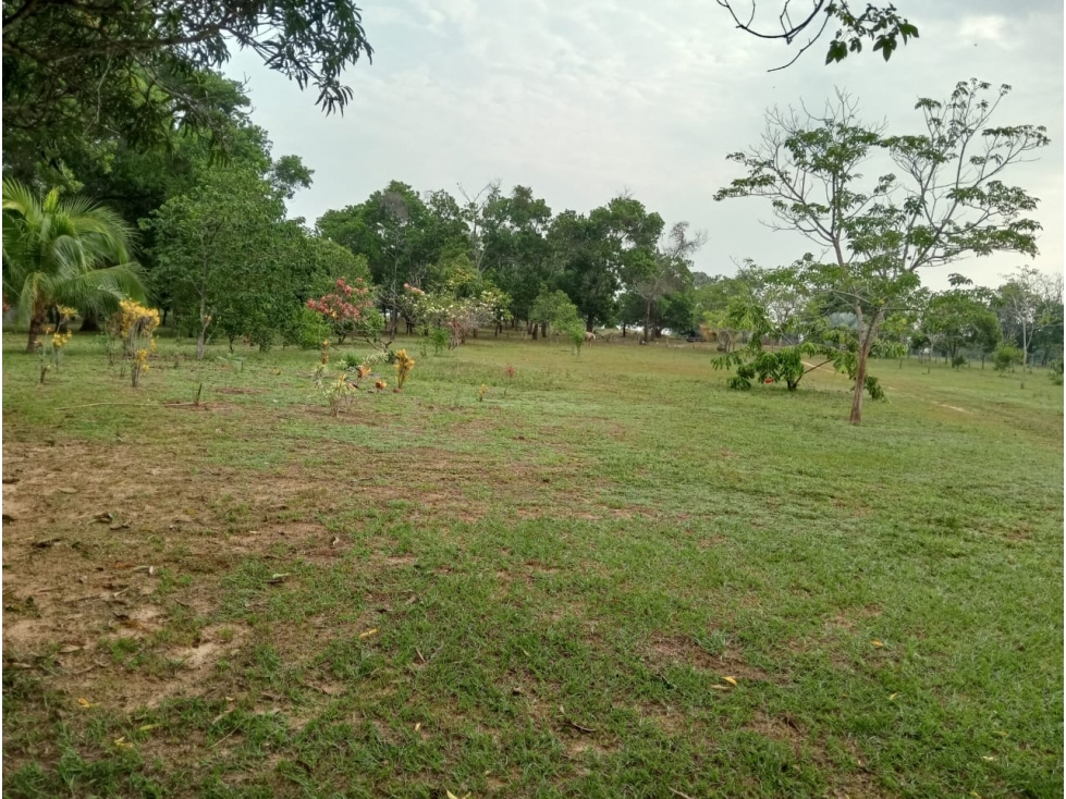 FINCA GANADERA DE 830 HA META | CERCA DE PUERTO LÓPEZ - 2