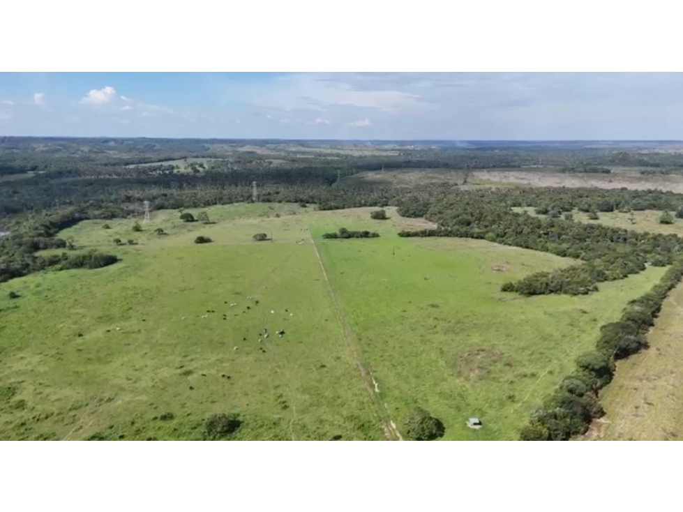 FINCA AGROPECUARIA DE 2.200 HA PUERTO LÓPEZ, META - 2