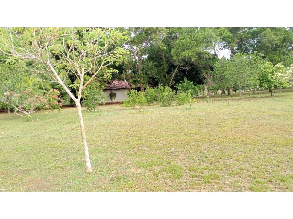 FINCA GANADERA DE 830 HA META | CERCA DE PUERTO LÓPEZ - 4