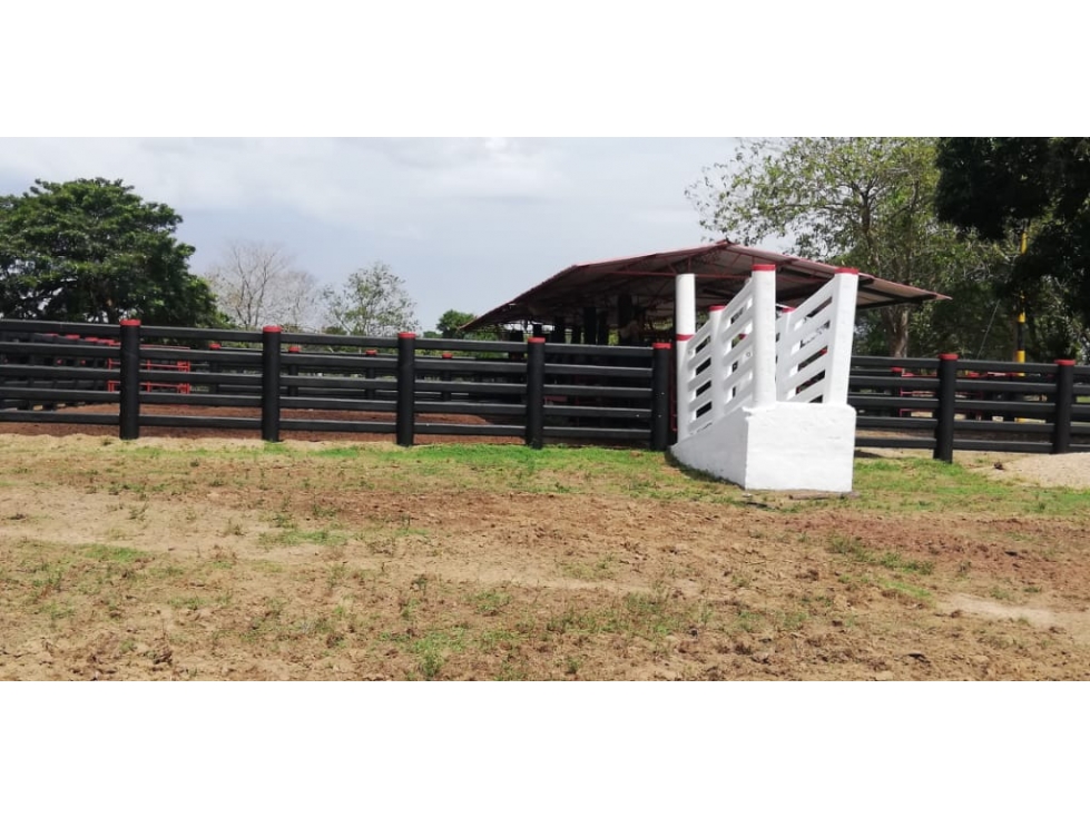 FINCA GANADERA Y FORESTAL DE 2.500 HA META - 5