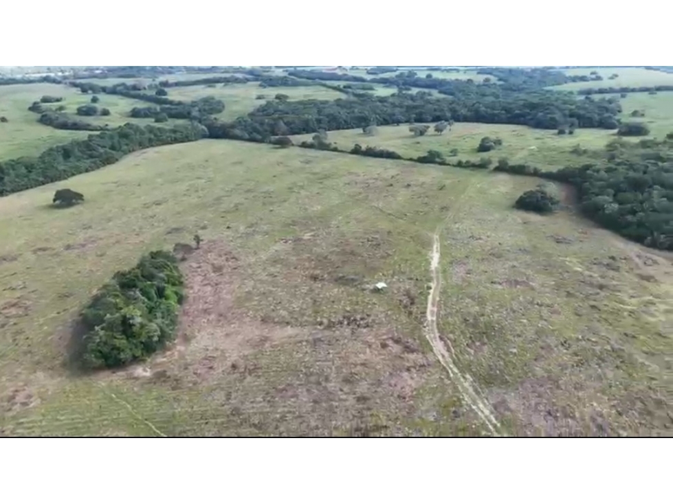 FINCA AGROPECUARIA DE 2.200 HA PUERTO LÓPEZ, META - 3