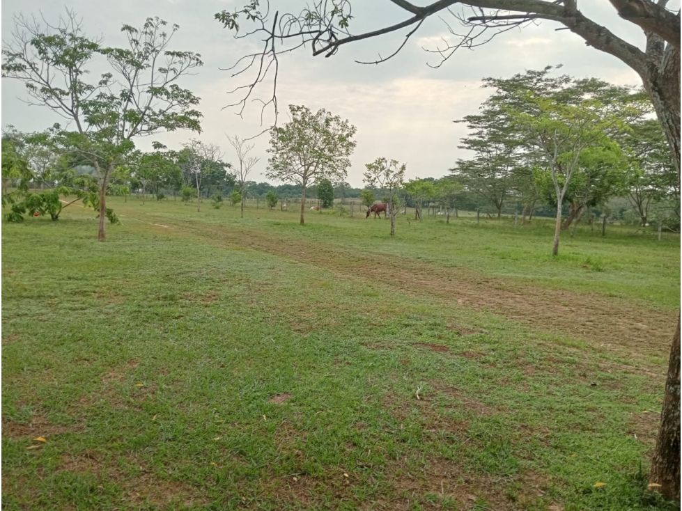 FINCA GANADERA DE 830 HA META | CERCA DE PUERTO LÓPEZ - 5