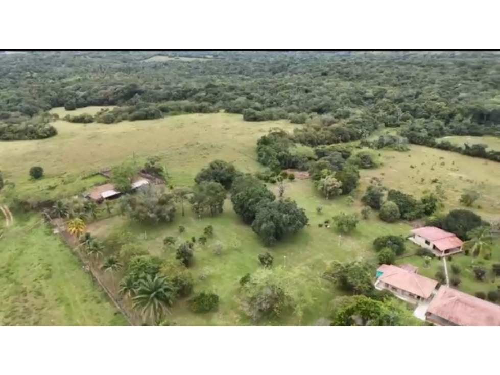 FINCA AGROPECUARIA DE 2.200 HA PUERTO LÓPEZ, META - 4