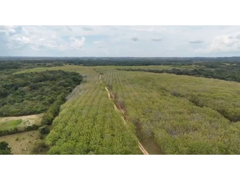 FINCA AGROPECUARIA DE 2.200 HA PUERTO LÓPEZ, META - 6