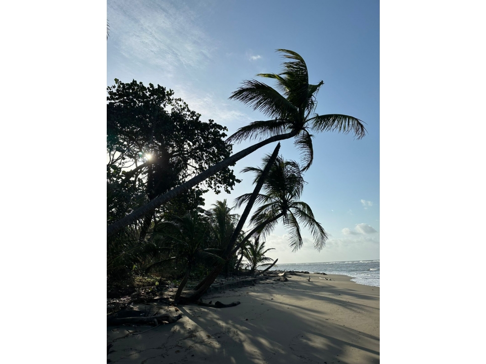 Cabin for Sale in Arcadia Beach, Costa Abajo - 4