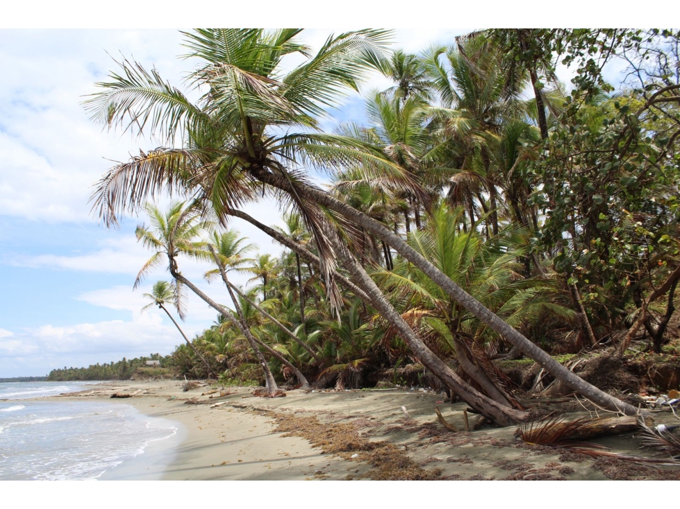 Cabin for Sale in Arcadia Beach, Costa Abajo - 6
