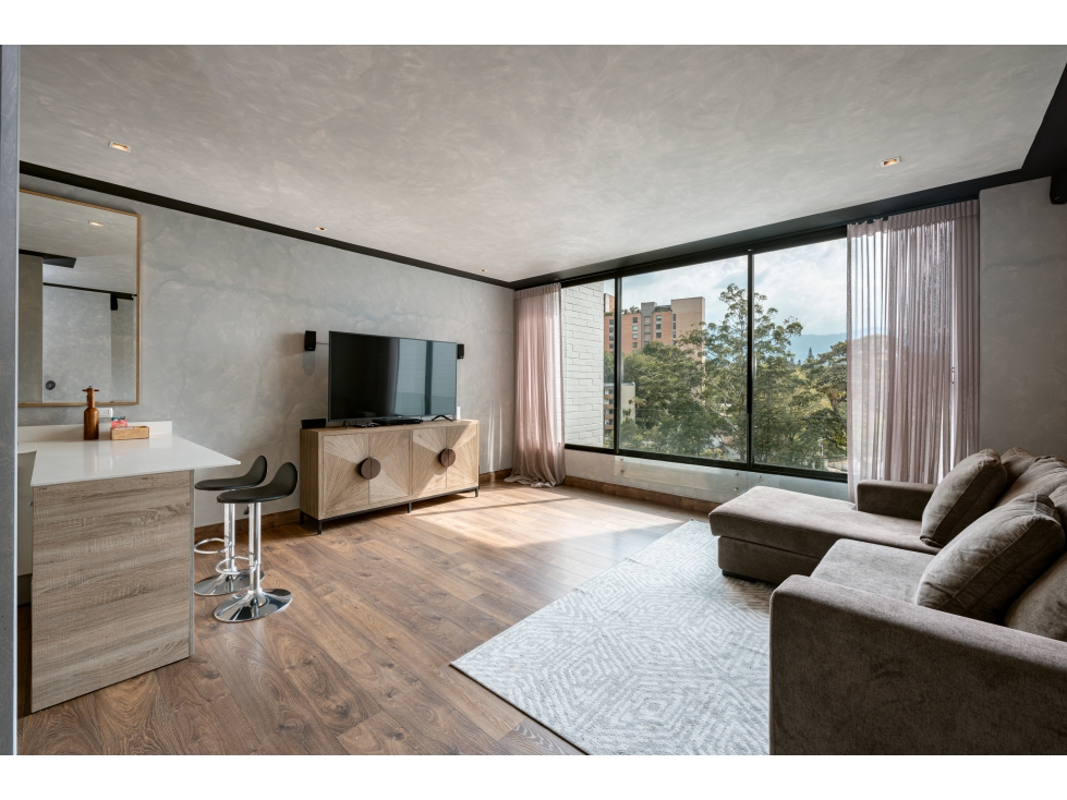 Espectacular Amoblado de 1 habitación Con Techos Altos en San Lucas