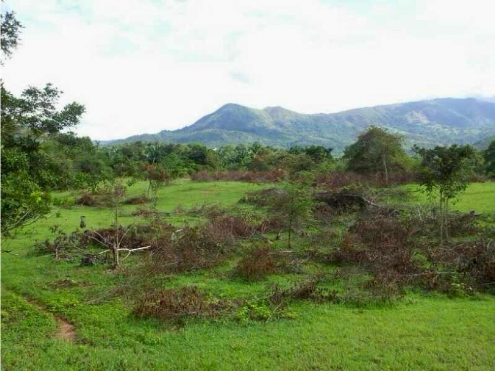 Lote Rural en Venta en el Nilo, Cundinamarca. - 1