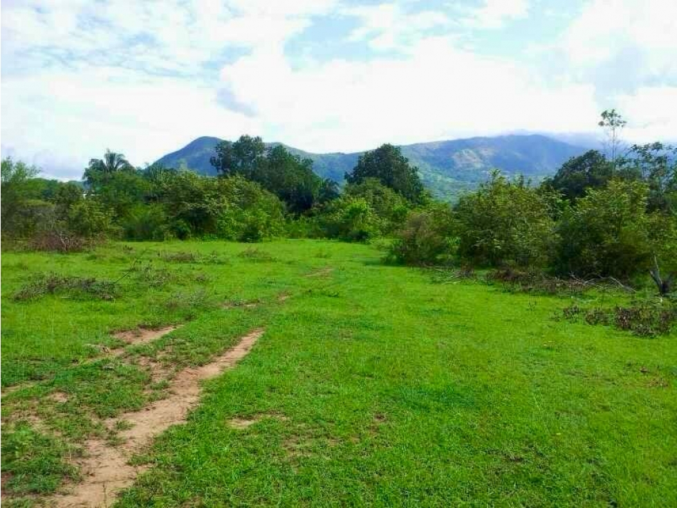 Lote Rural en Venta en el Nilo, Cundinamarca. - 3