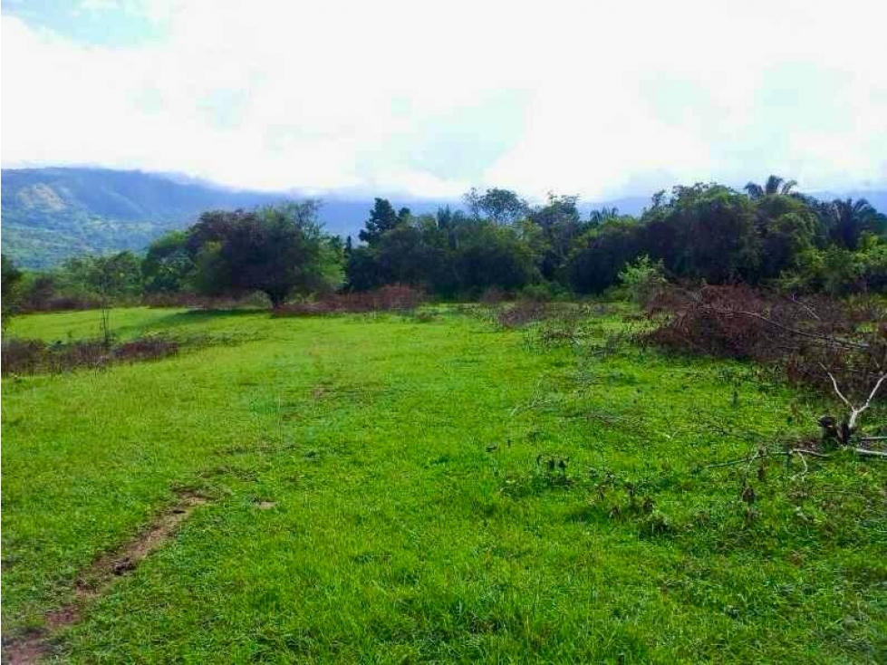 Lote Rural en Venta en el Nilo, Cundinamarca. - 4