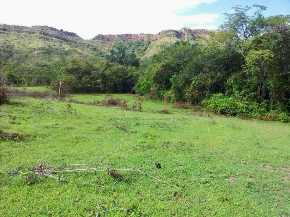 Lote Rural en Venta en el Nilo, Cundinamarca. - 5