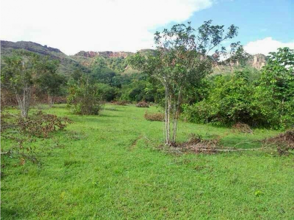 Lote Rural en Venta en el Nilo, Cundinamarca. - 6