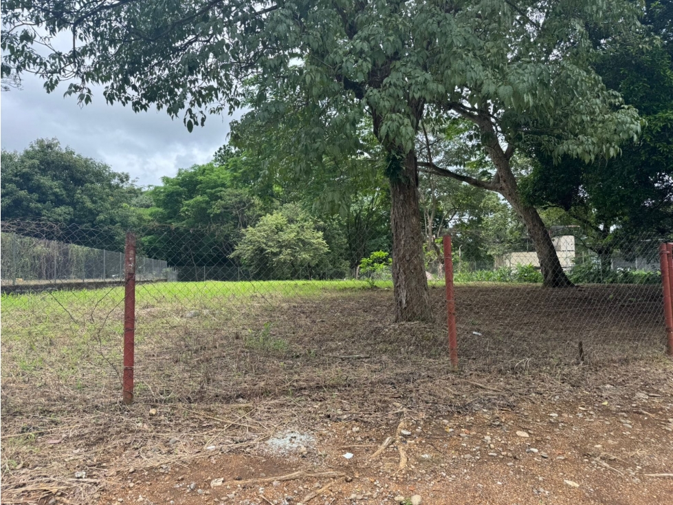 Terreno en Alquiler cerca de la Unachi en David - 3