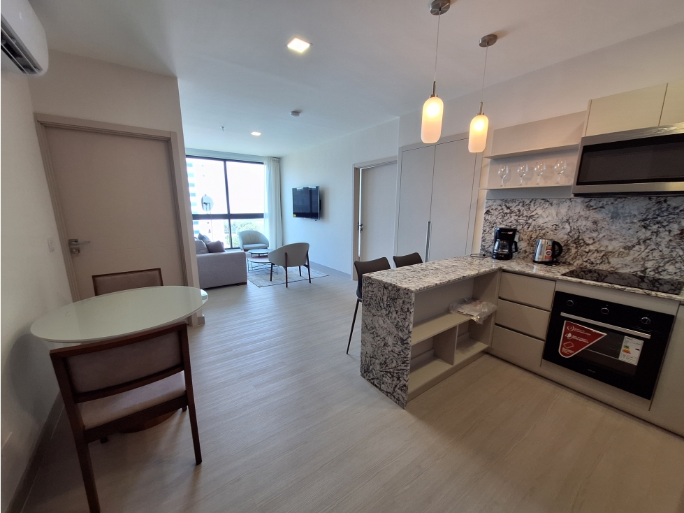 ALQUILER APARTAMENTO AMOBLADO PH ARCADIA — foto 3