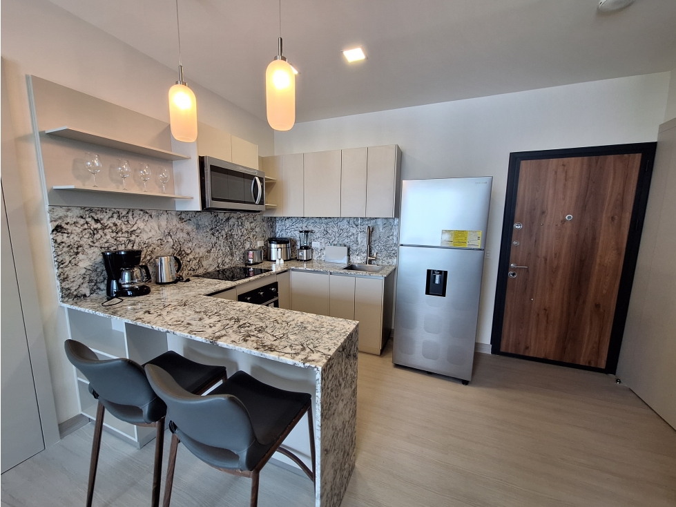 ALQUILER APARTAMENTO AMOBLADO PH ARCADIA — foto 2