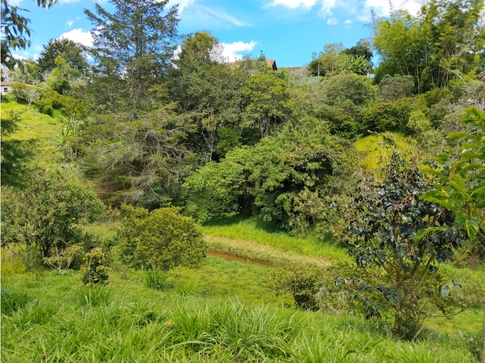 venta de lote rionegro quirama — foto 5