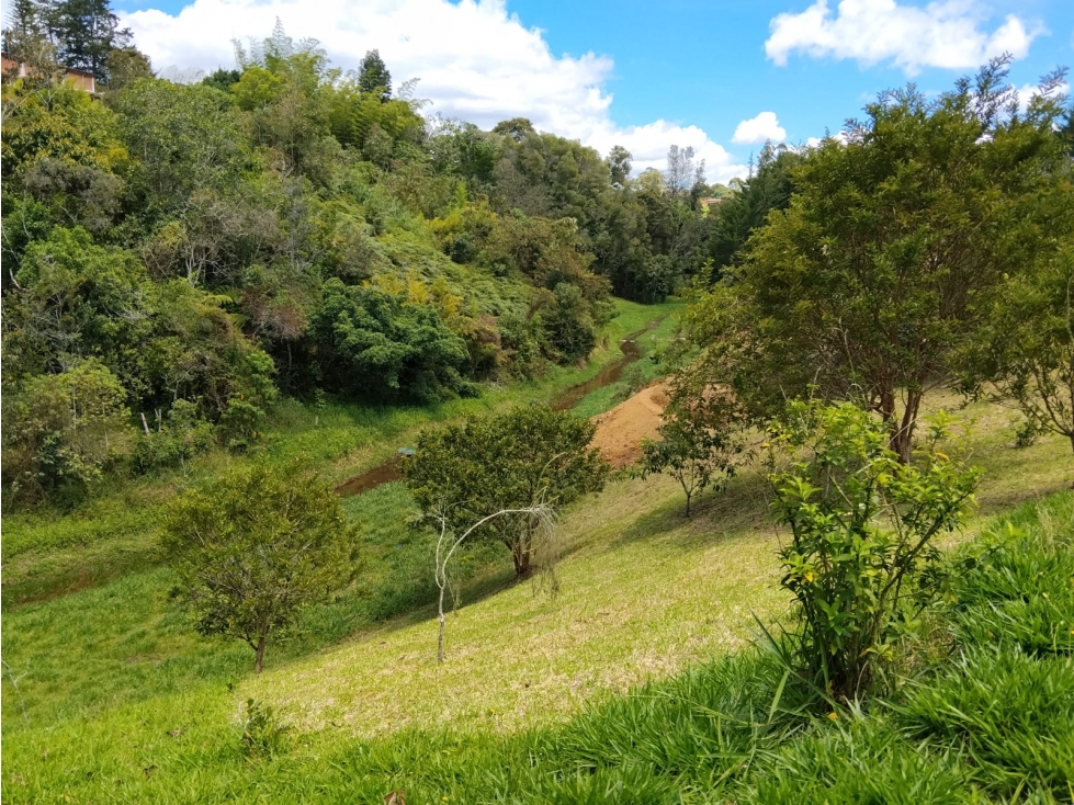 venta de lote rionegro quirama