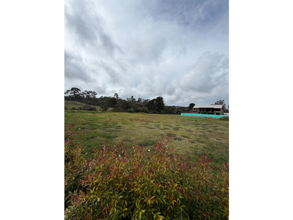 SE VENDE LOTE EN SECTOR INDIANA, LAS PALMAS — foto 2