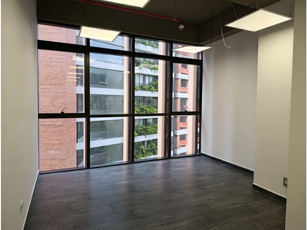 Oficina, Las Palmas