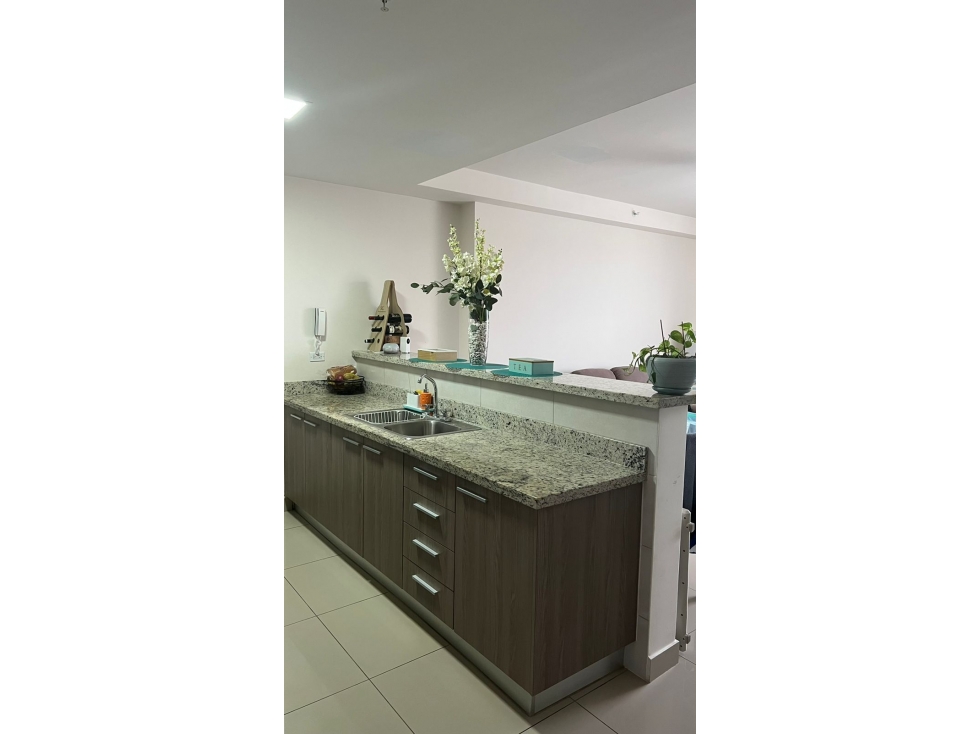 Apartamento en alquiler en PH Roque Via España — foto 3