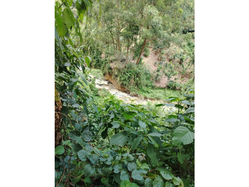 C103 - Venta de Casa lote en el Vergel San Antonio de Prado. — foto 3